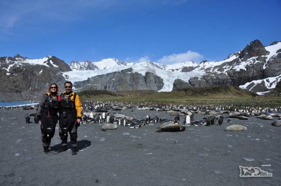 Visita à fantástica Gold Harbour, na Geórgia do Sul